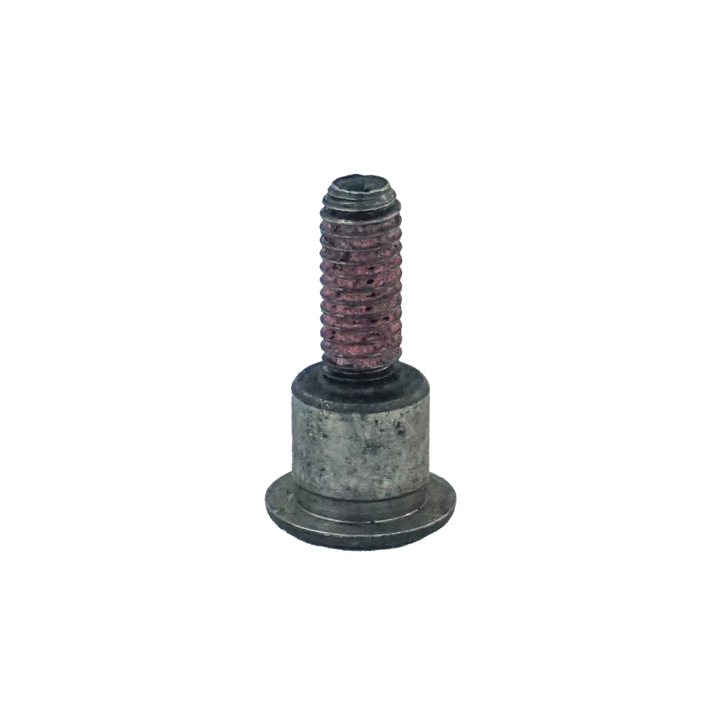 TORNILLO TENSOR DE DE CADENA DISTRIBUCION 200 NS, CRUISE