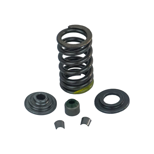 RESORTE Y RONDANAS DE VALVULA KIT 200 NS,RS,AS