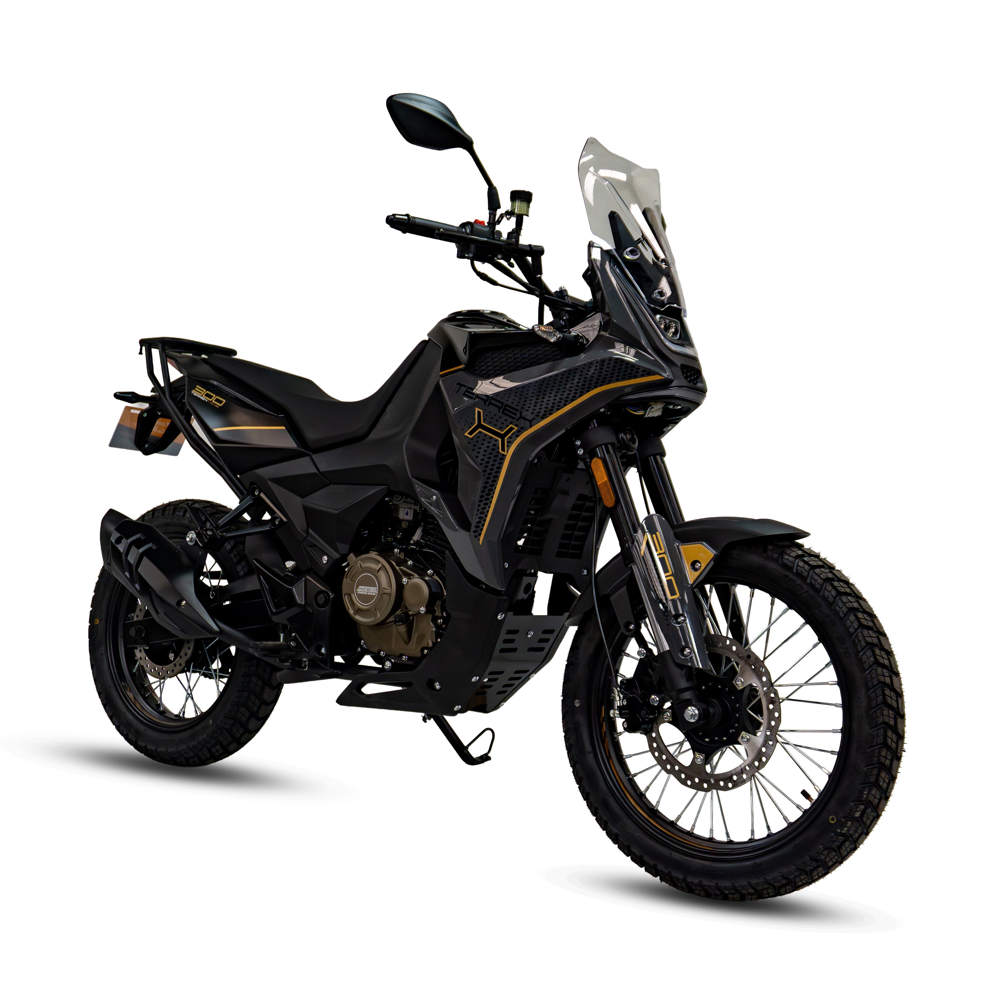 MOTOCICLETA DAYTONA TERREX 300 GRIS 2027
